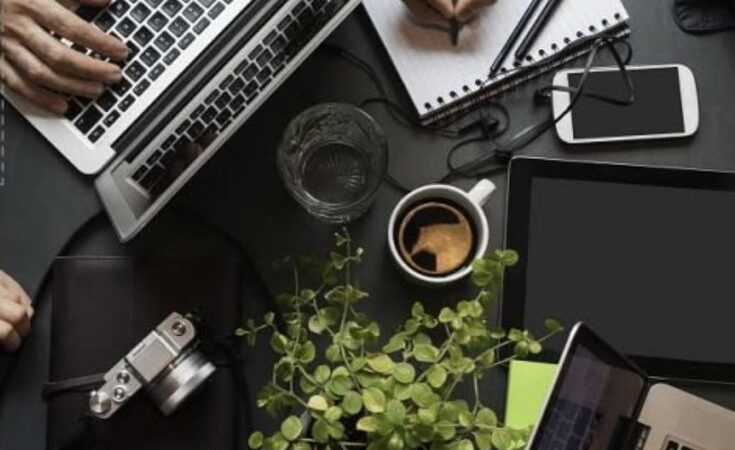 INVESTIMENTOS PARA INICIANTES: COMO COMEÇAR A INVESTIR EM 2026 COM POUCO DINHEIRO